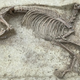 Imagen para el artículo titulado Encuentran un caballo sin cabeza enterrado en un cementerio medieval